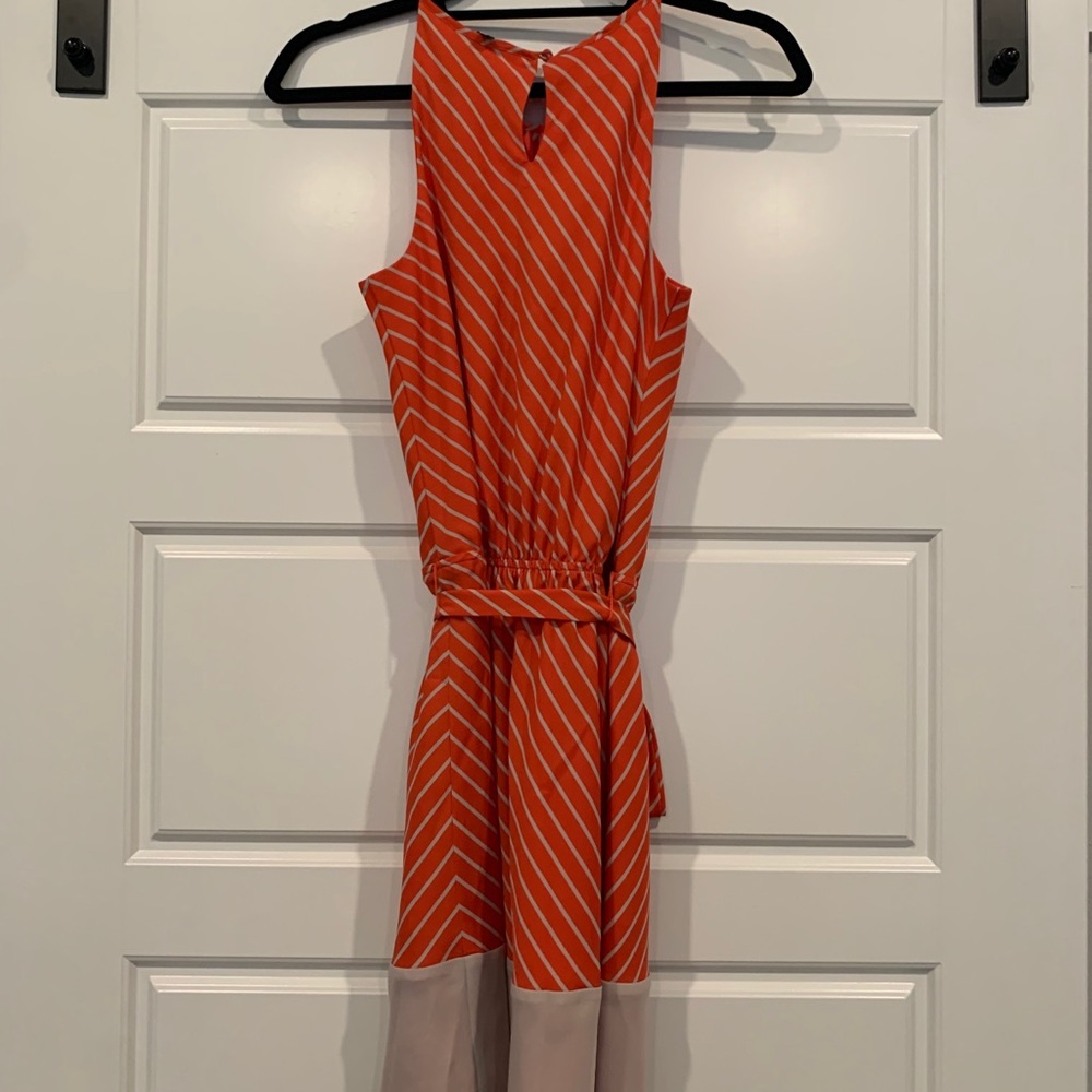 Express Dress - Picture 7 of 7